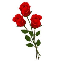 Rustic Wildflower – A Florist Original