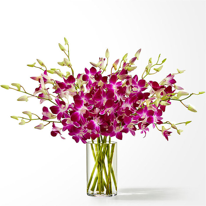 Positively Purple Orchid Bouquet